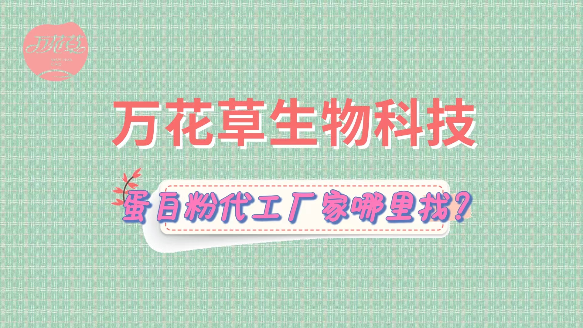 蛋白粉代加工，怎么找專業(yè)源頭廠家？