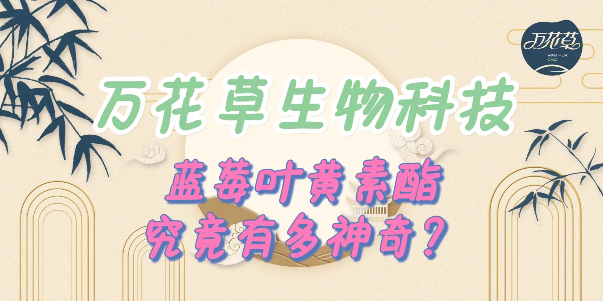 升級配方，重磅出擊，萬花草藍莓葉黃素酯究竟有多神奇？