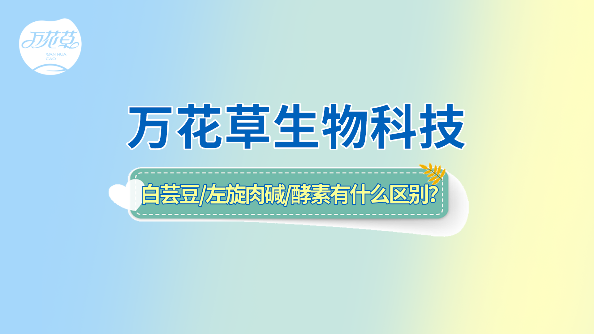 白蕓豆、左旋肉堿、嗨吃酵素有什么區(qū)別？